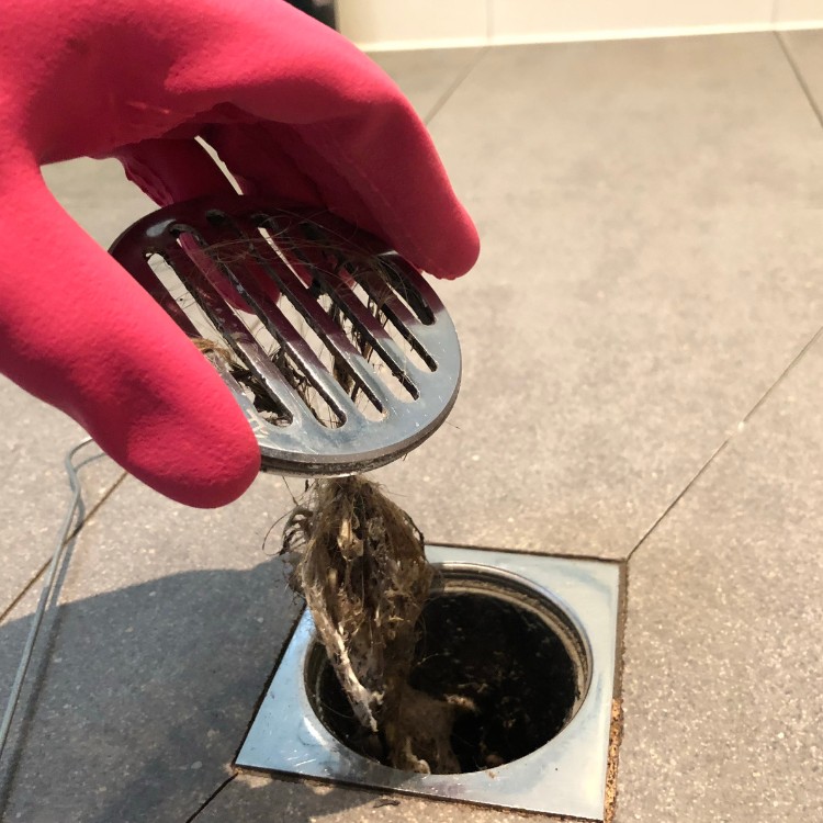 Plumbing services in Collin County, TX