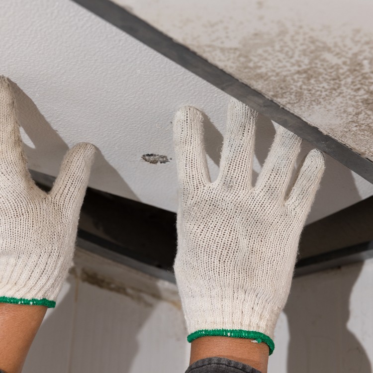 Plumbing services in Collin County, TX